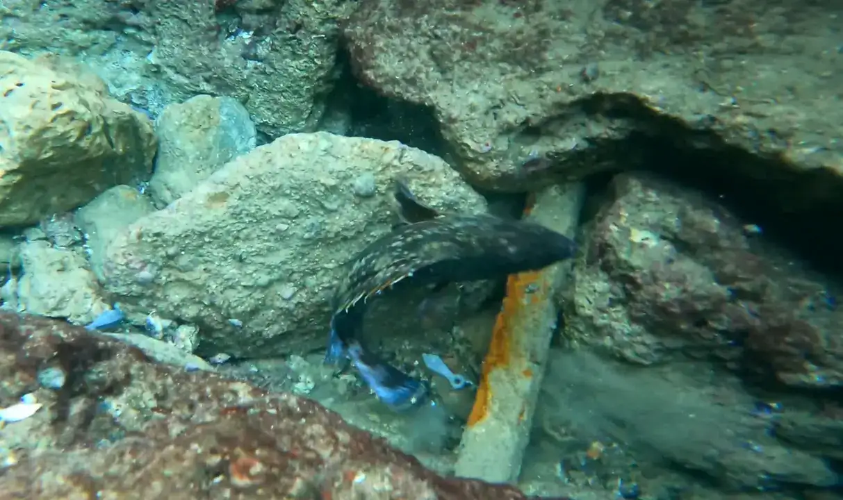 Antalyalı Dalgıç Akdeniz’in Altında Büyü İzleri Buldu 7